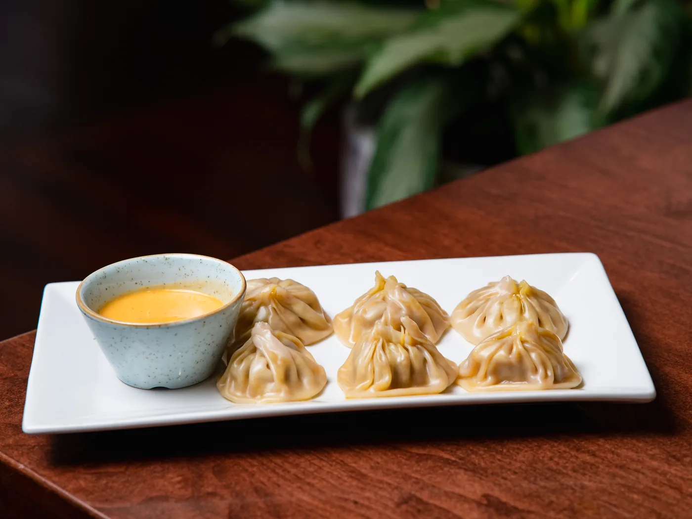 Nepali Momo at Denver Curry House — Cherry Creek, Denver